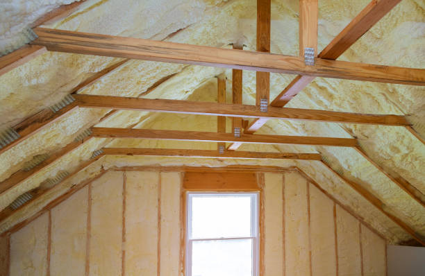 Best Residential Insulation in Stanley, WI