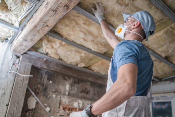 Best Commercial Insulation in Stanley, WI
