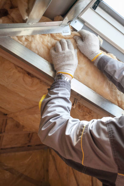 Best Residential Insulation in Stanley, WI