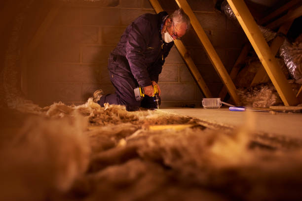 Best Insulation Maintenance and Repair in Stanley, WI